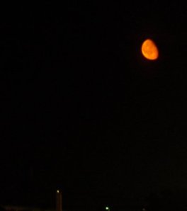 orange moon